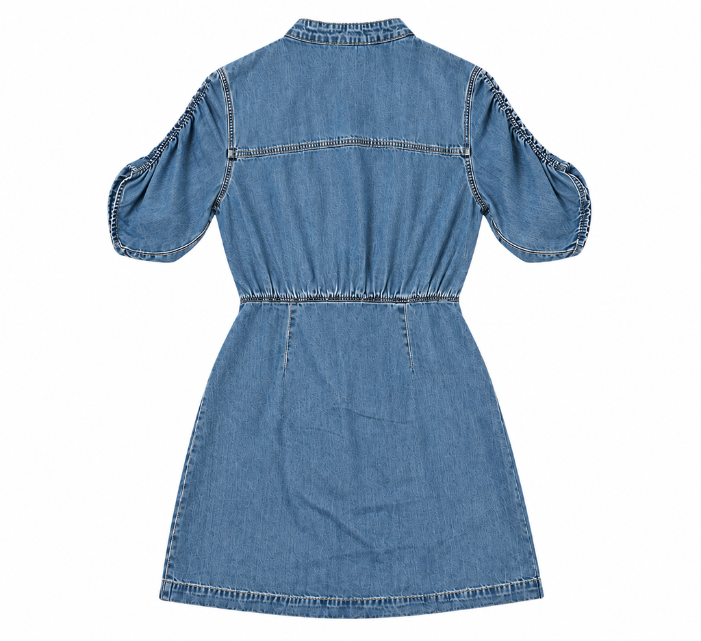 Veronica Beard Denim Dress